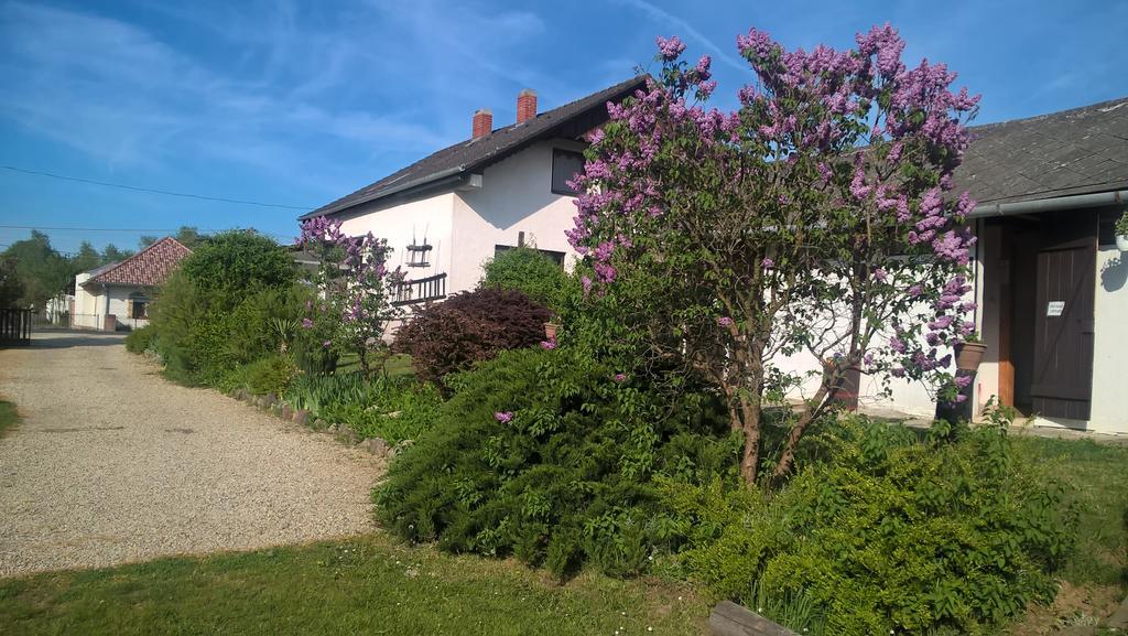 Hotel Nyirfas Camping Nagykanizsa Zewnętrze zdjęcie